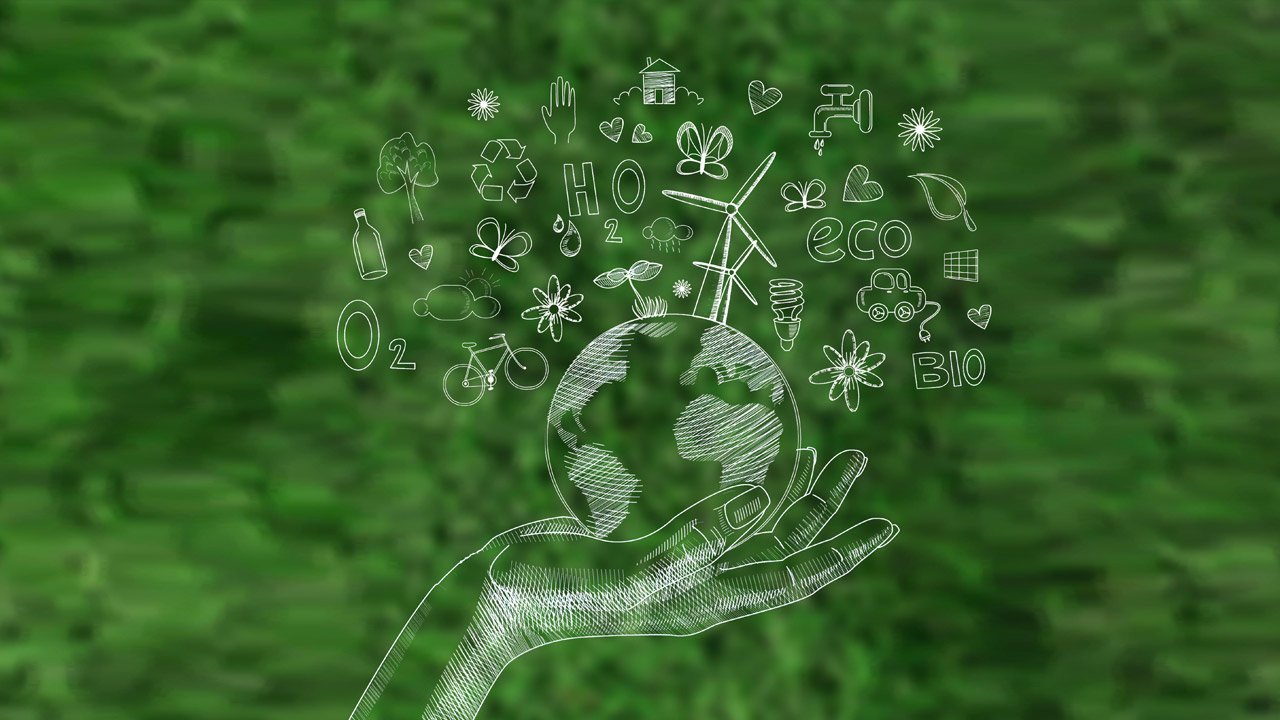 5 Reasons Why Choosing EcoConnect Dining Makes a Real Impact on the Planet