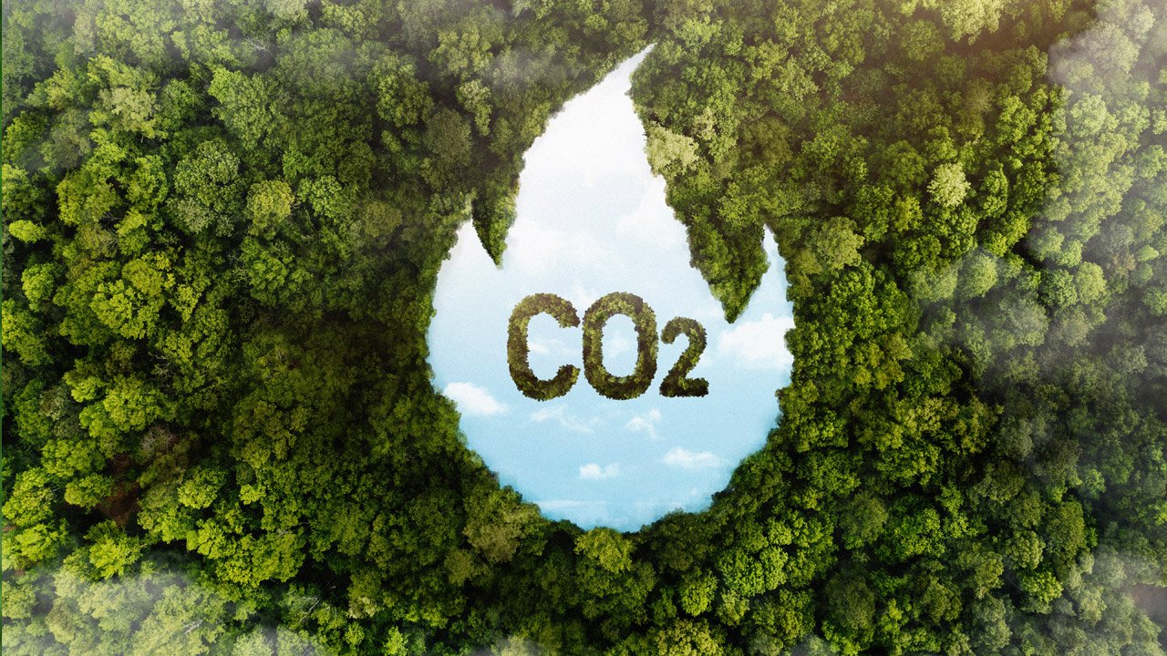 5 Reasons Why Choosing EcoConnect Dining Makes a Real Impact on the Planet