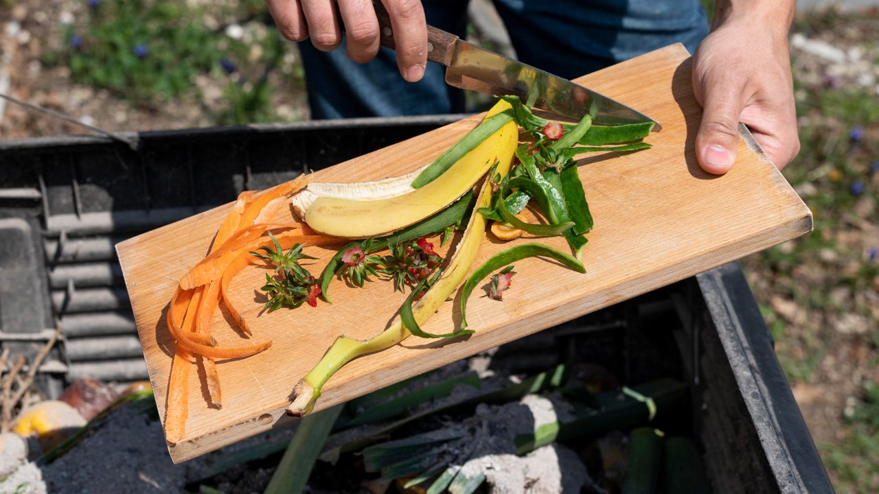 Why EcoConnect Dining Is Changing the Way Canadians Eat Sustainably